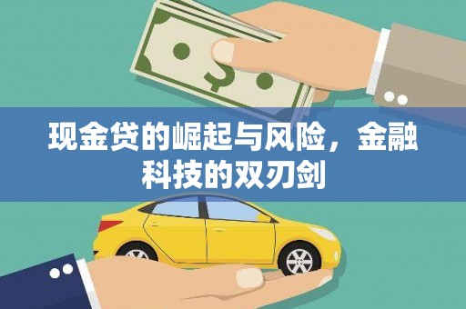 阿莲现金贷的崛起与风险，金融科技的双刃剑