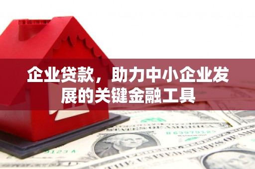 阿莲企业贷款，助力中小企业发展的关键金融工具