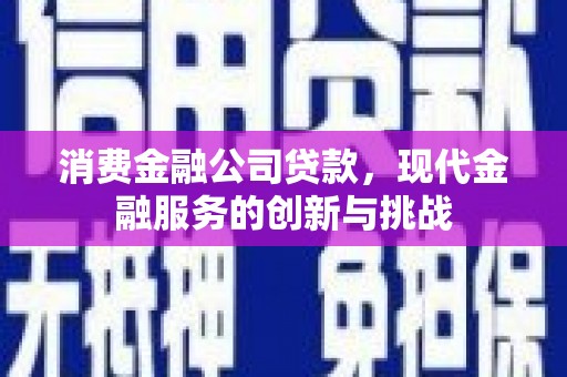 阿莲消费金融公司贷款，现代金融服务的创新与挑战