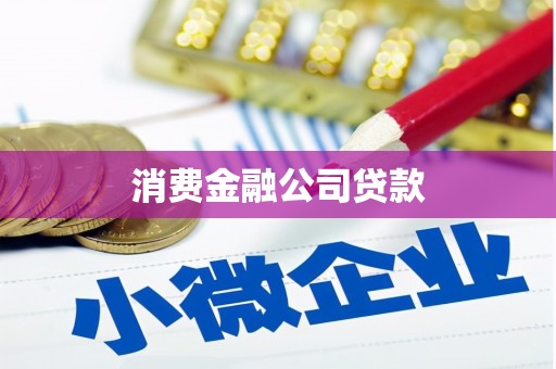 阿莲消费金融公司贷款