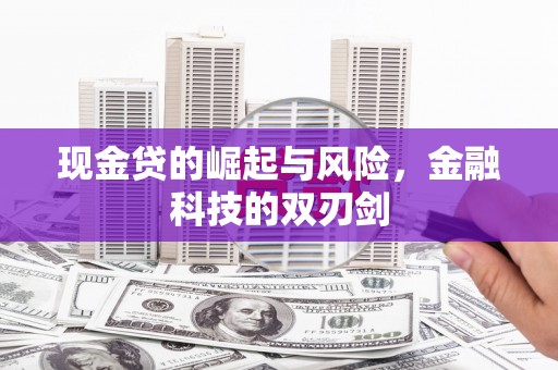 阿莲现金贷的崛起与风险，金融科技的双刃剑