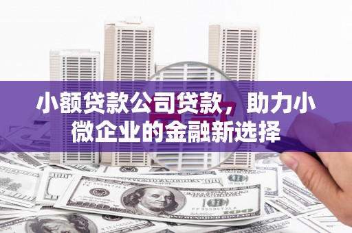 阿莲小额贷款公司贷款，助力小微企业的金融新选择