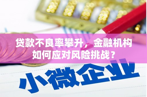 阿莲贷款不良率攀升，金融机构如何应对风险挑战？