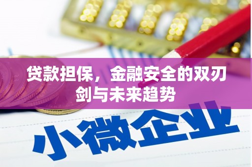 阿莲贷款担保，金融安全的双刃剑与未来趋势