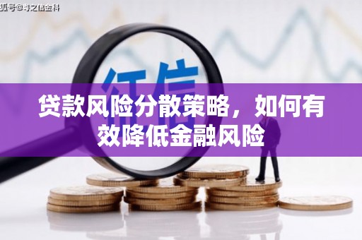阿莲贷款风险分散策略，如何有效降低金融风险