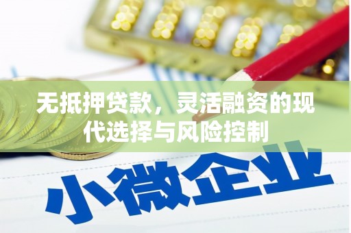 阿莲无抵押贷款，灵活融资的现代选择与风险控制