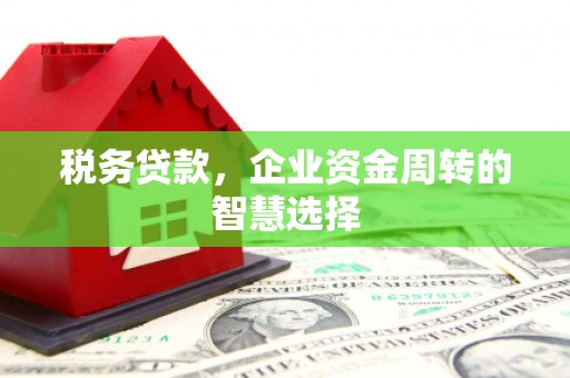 阿莲税务贷款，企业资金周转的智慧选择
