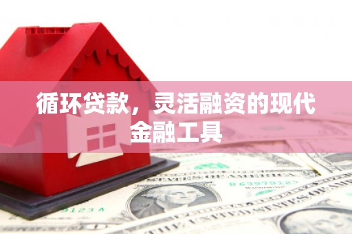 阿莲循环贷款，灵活融资的现代金融工具