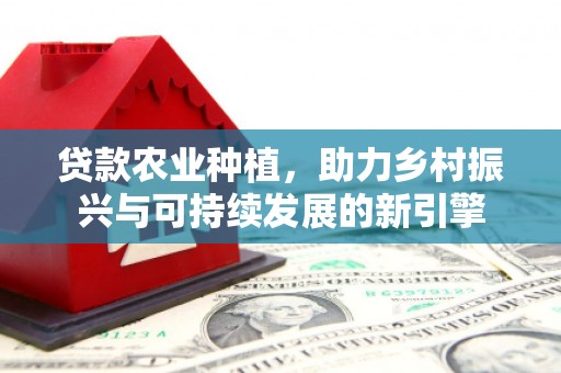 阿莲贷款农业种植，助力乡村振兴与可持续发展的新引擎