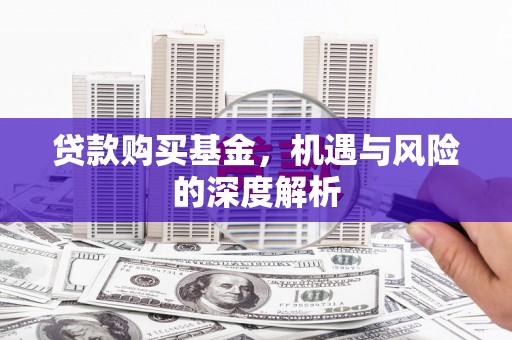 阿莲贷款购买基金，机遇与风险的深度解析