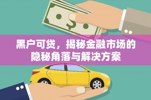 阿莲黑户可贷，揭秘金融市场的隐秘角落与解决方案
