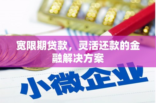 阿莲宽限期贷款，灵活还款的金融解决方案