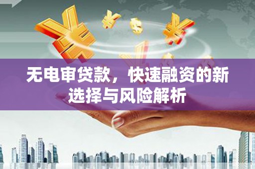 阿莲无电审贷款，快速融资的新选择与风险解析