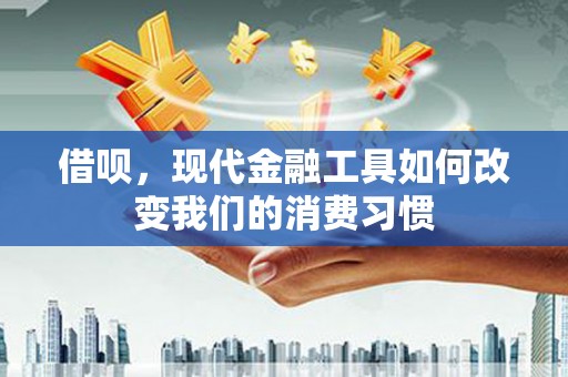 阿莲借呗，现代金融工具如何改变我们的消费习惯