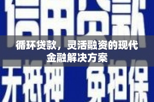阿莲循环贷款，灵活融资的现代金融解决方案