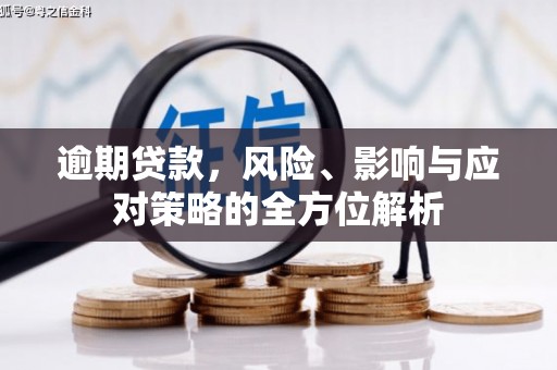 阿莲逾期贷款，风险、影响与应对策略的全方位解析