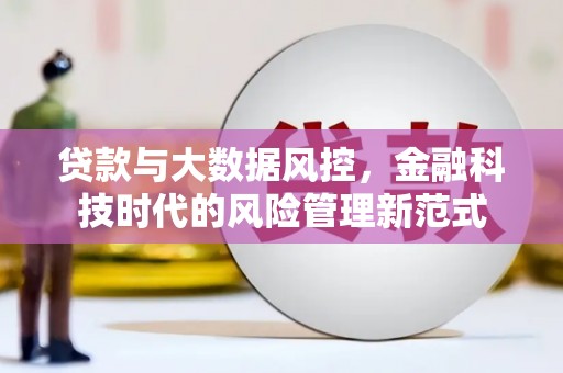 阿莲贷款与大数据风控，金融科技时代的风险管理新范式