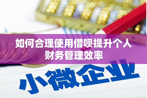 阿莲如何合理使用借呗提升个人财务管理效率