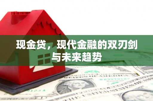阿莲现金贷，现代金融的双刃剑与未来趋势