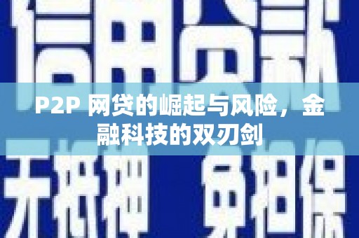 阿莲P2P 网贷的崛起与风险，金融科技的双刃剑