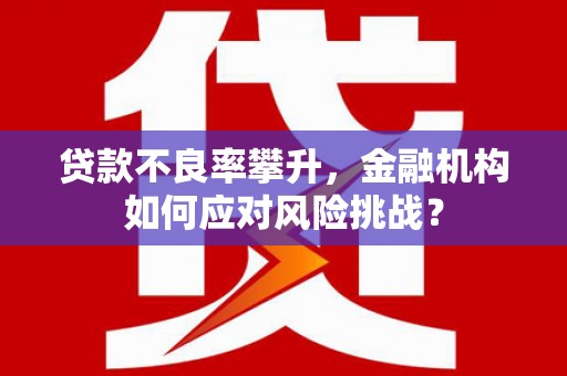 阿莲贷款不良率攀升，金融机构如何应对风险挑战？