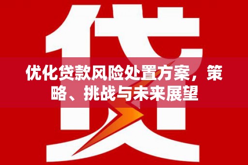 阿莲优化贷款风险处置方案，策略、挑战与未来展望