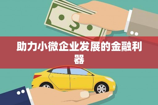 阿莲助力小微企业发展的金融利器