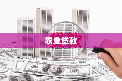 阿莲农业贷款