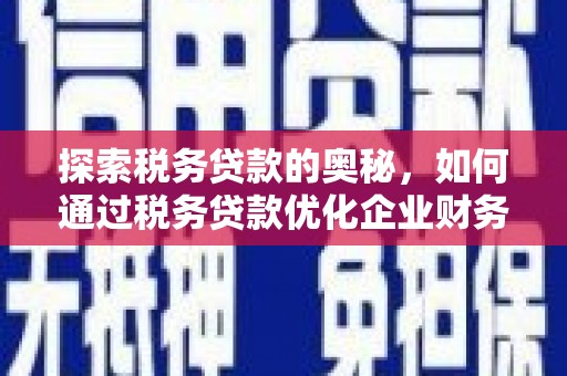 阿莲探索税务贷款的奥秘，如何通过税务贷款优化企业财务
