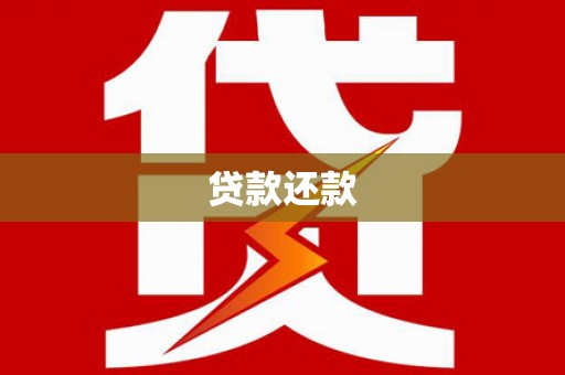 阿莲贷款还款