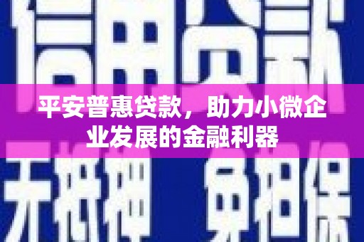 阿莲平安普惠贷款，助力小微企业发展的金融利器