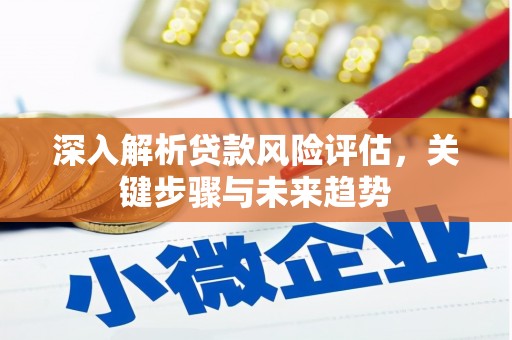 阿莲深入解析贷款风险评估，关键步骤与未来趋势