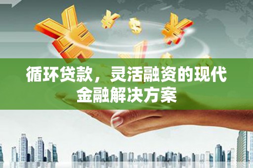 阿莲循环贷款，灵活融资的现代金融解决方案