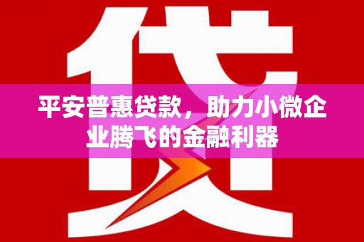阿莲平安普惠贷款，助力小微企业腾飞的金融利器