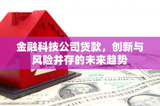 阿莲金融科技公司贷款，创新与风险并存的未来趋势