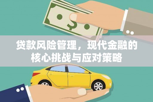 阿莲贷款风险管理，现代金融的核心挑战与应对策略