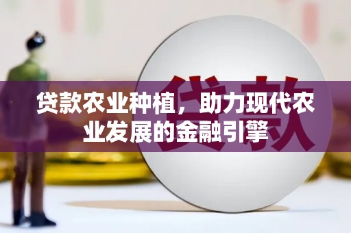 阿莲贷款农业种植，助力现代农业发展的金融引擎