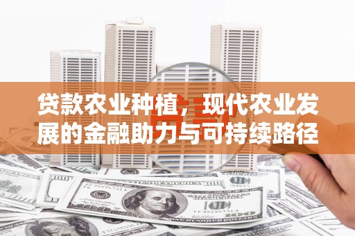 阿莲贷款农业种植，现代农业发展的金融助力与可持续路径