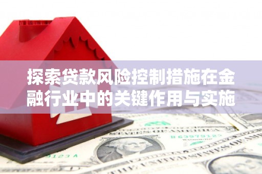 阿莲探索贷款风险控制措施在金融行业中的关键作用与实施策略