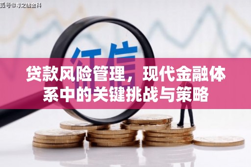 阿莲贷款风险管理，现代金融体系中的关键挑战与策略
