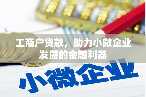 阿莲工商户贷款，助力小微企业发展的金融利器