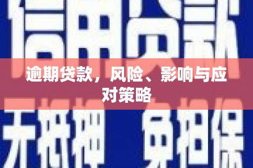 阿莲逾期贷款，风险、影响与应对策略