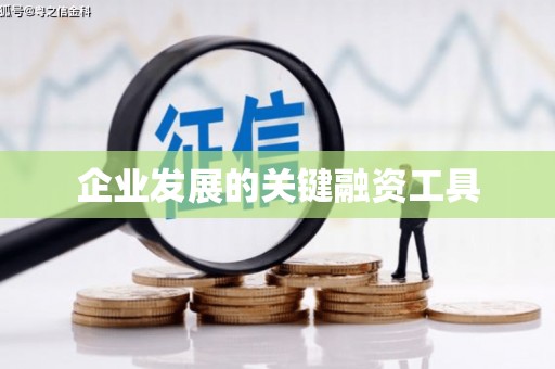 阿莲企业发展的关键融资工具