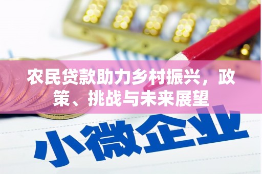 阿莲农民贷款助力乡村振兴，政策、挑战与未来展望