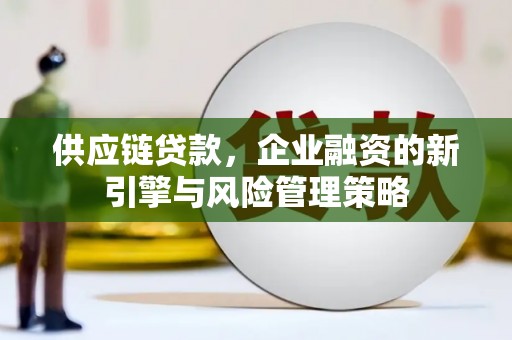 阿莲供应链贷款，企业融资的新引擎与风险管理策略
