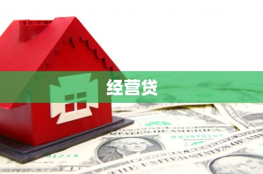 阿莲经营贷
