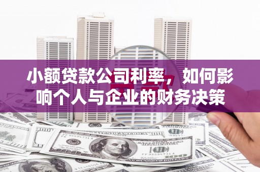 阿莲小额贷款公司利率，如何影响个人与企业的财务决策