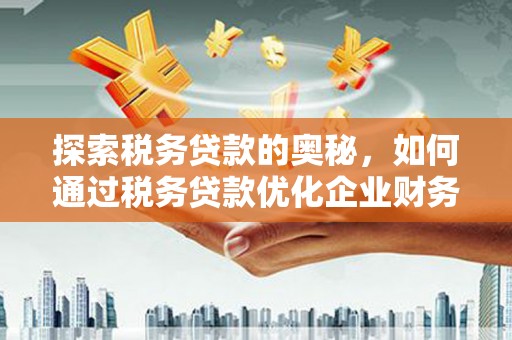 阿莲探索税务贷款的奥秘，如何通过税务贷款优化企业财务