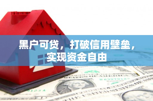 阿莲黑户可贷，打破信用壁垒，实现资金自由