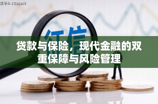 阿莲贷款与保险，现代金融的双重保障与风险管理